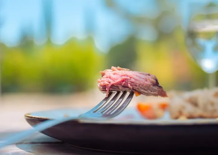 La Vicha, The Originals Relais Szálloda Aubais